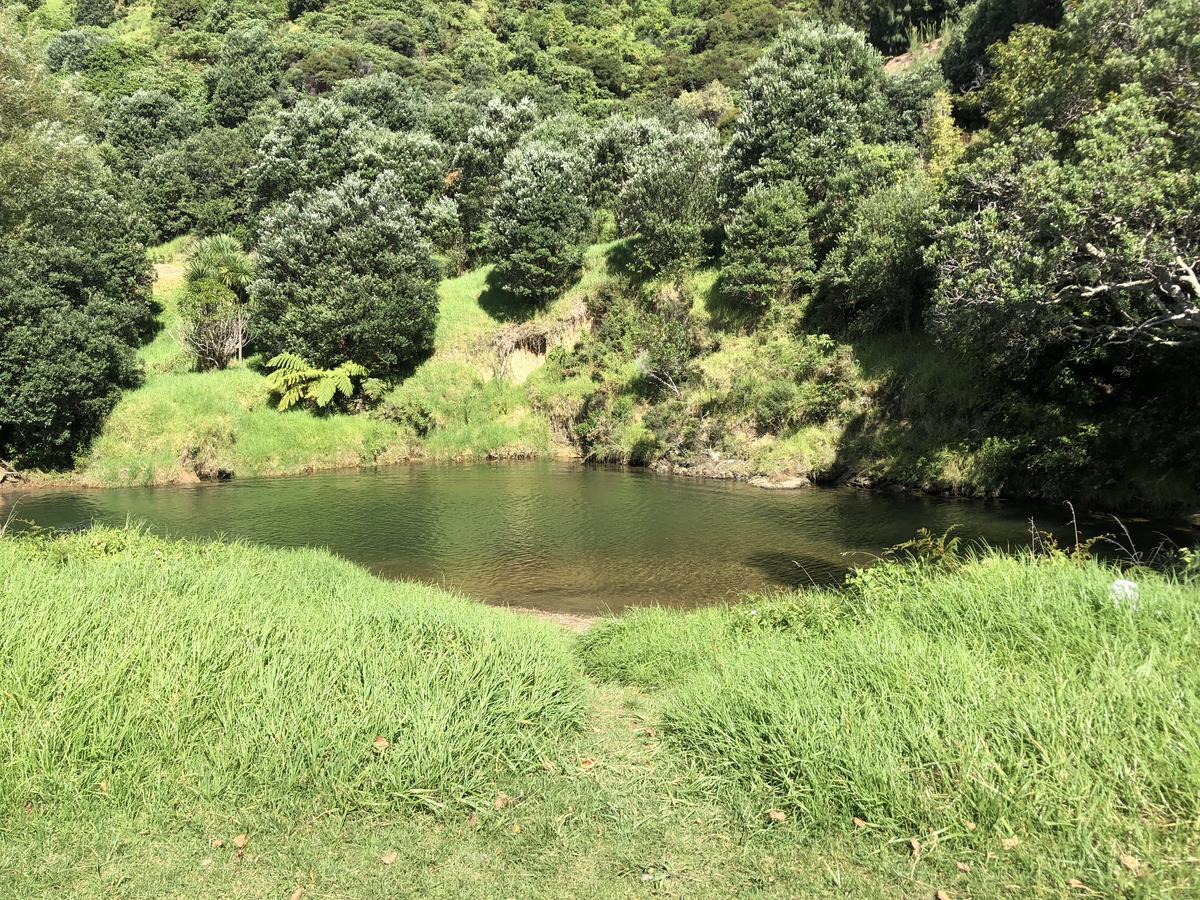 Te Mata Bay Seaviews Bed and Breakfast Tapu Esterno foto