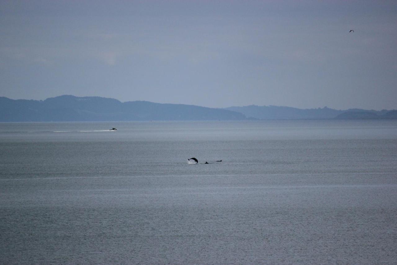 Te Mata Bay Seaviews Bed and Breakfast Tapu Esterno foto